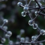 Роль молибдена в поддержании здоровья обмена веществ и предотвращения заболеваний