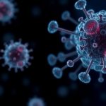 Роль цинка в поддержании здоровья иммунной системы и кожи